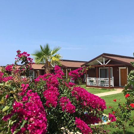 Sedir Park - Beach Bungalow Kargicak  Exterior photo