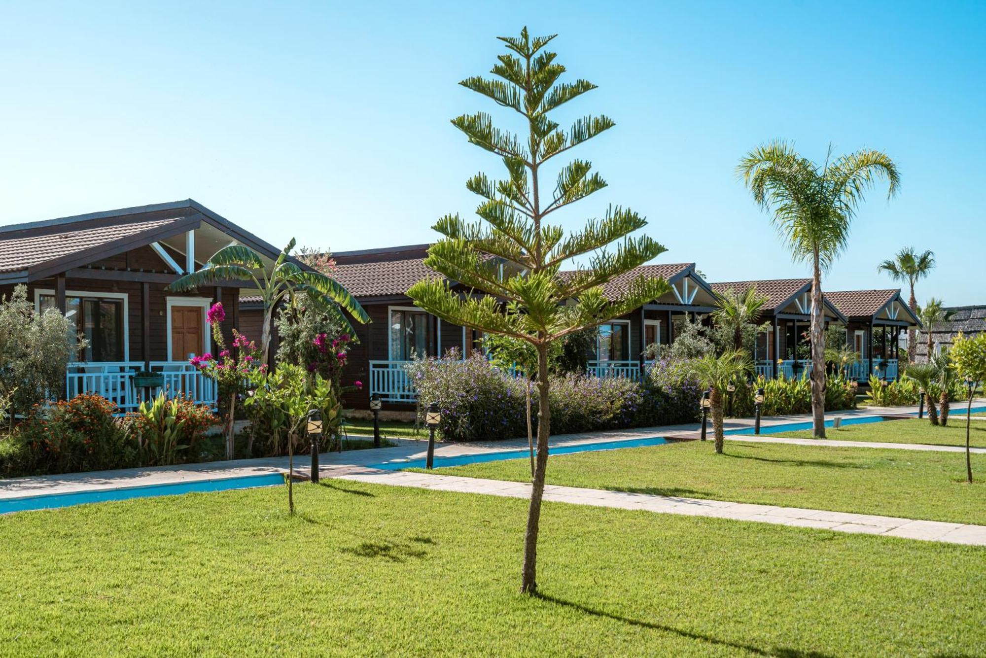 Sedir Park - Beach Bungalow Kargicak  Exterior photo